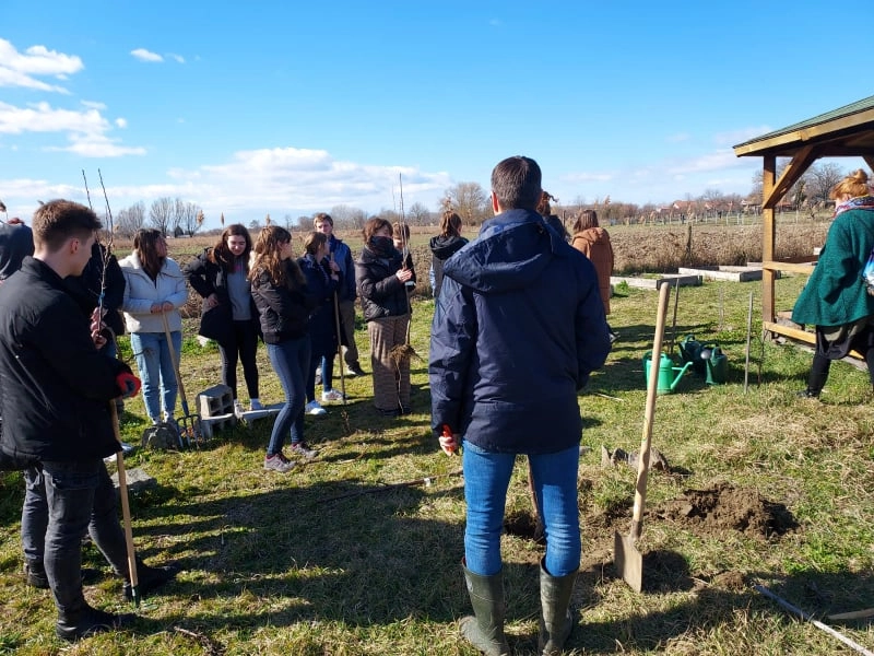 Mladi su posadili svoj hlad