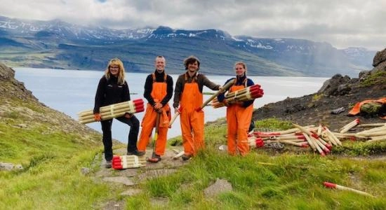 NATTÚRA - Program volontiranja na Islandu